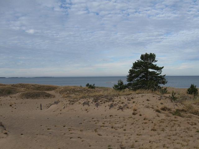 Kalajoki Beach